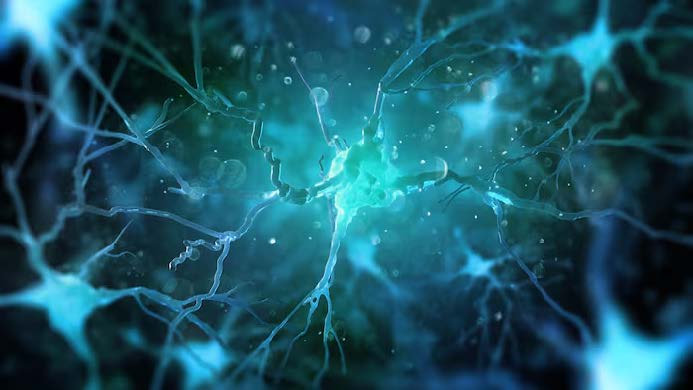 Neurodegenerative Disease Investment Shifting Paradigms Beyond Amyloid And Tau
